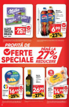 Catalog Profi până în data de 30.09.2025