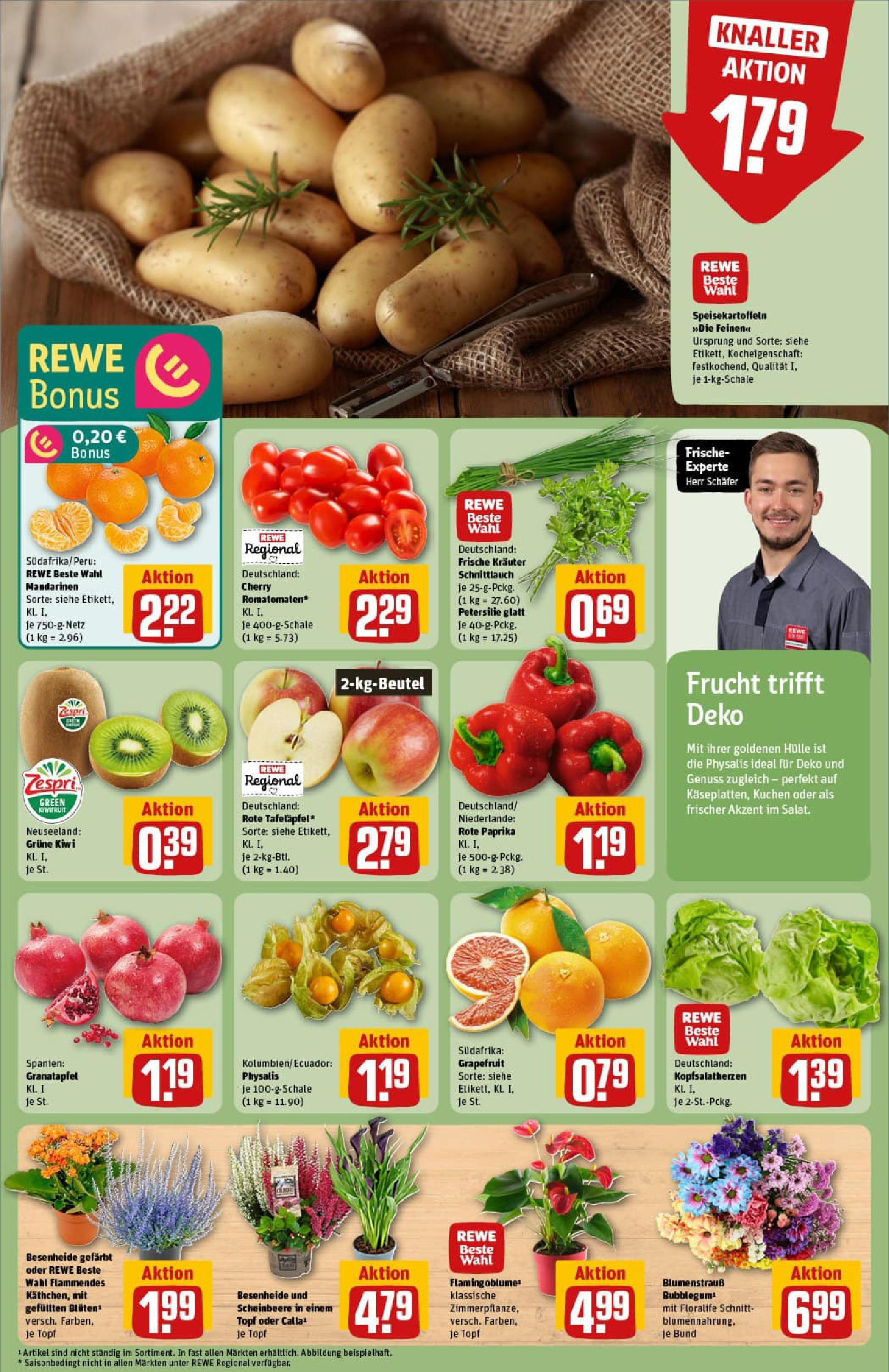 REWE Prospekt ab 21.09.2025 zum Blättern » Angebote | Seite: 11 | Produkte: Hülle, Mandarinen, Petersilie, Kiwi REWE Prospekt ab 21.09.2025 zum Blättern » Angebote | Seite: 11 | Produkte: Hülle, Mandarinen, Petersilie, Kiwi