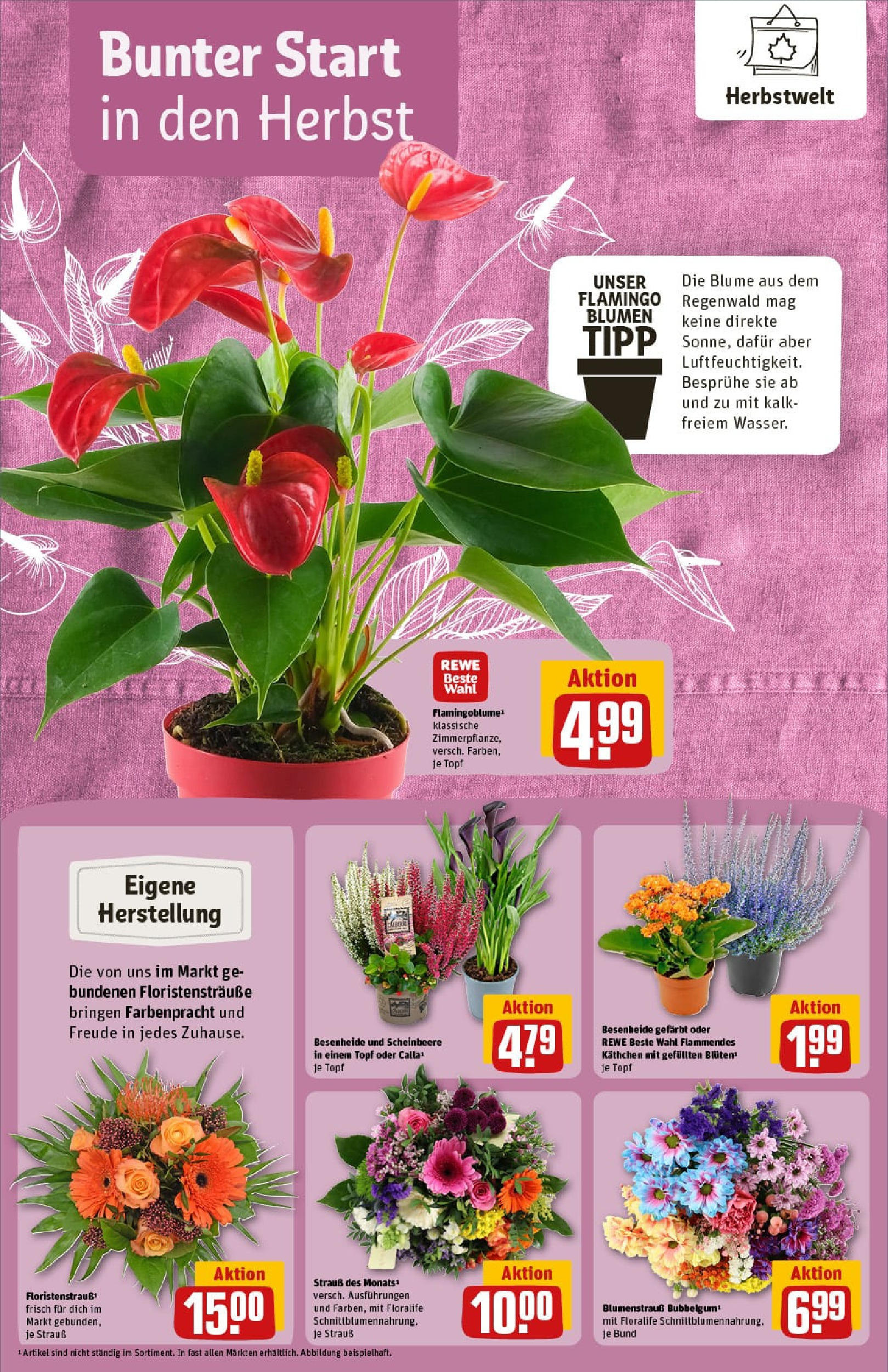 REWE Prospekt ab 21.09.2025 zum Blättern » Angebote | Seite: 18 | Produkte: Blumen