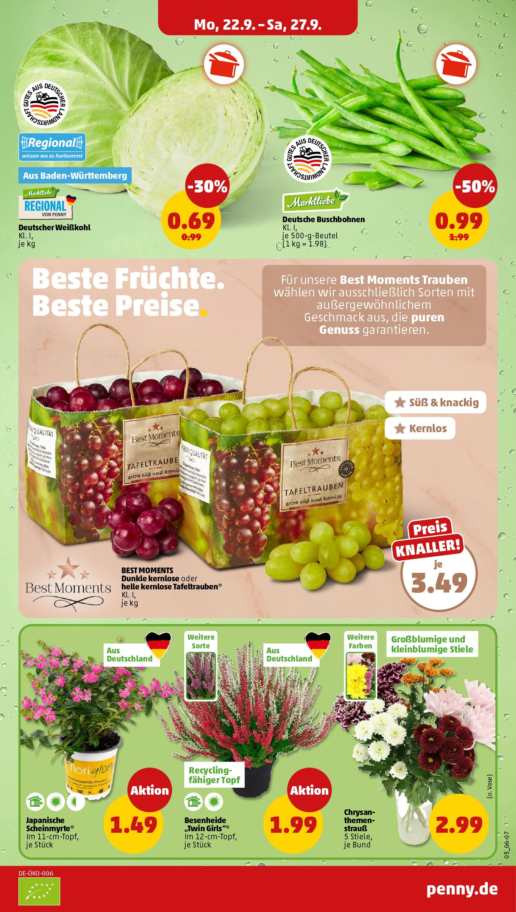 Penny Prospekt ab 21.09.2025 » Angebote Online | Seite: 3 | Produkte: Trauben, Vase