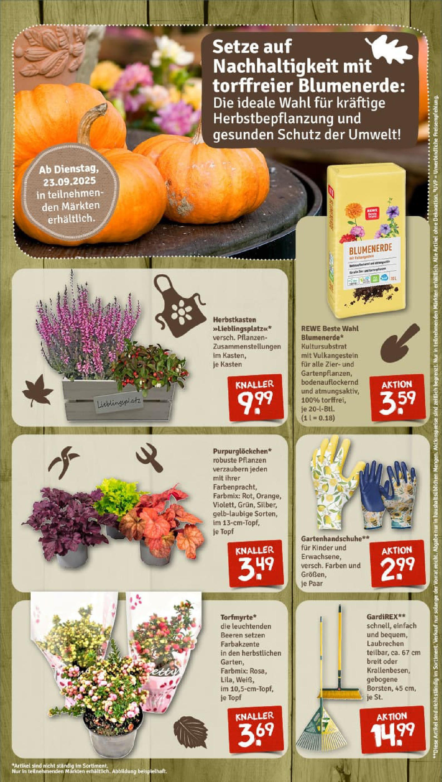 REWE Prospekt ab 21.09.2025 zum Blättern » Angebote | Seite: 11 | Produkte: Blumenerde
