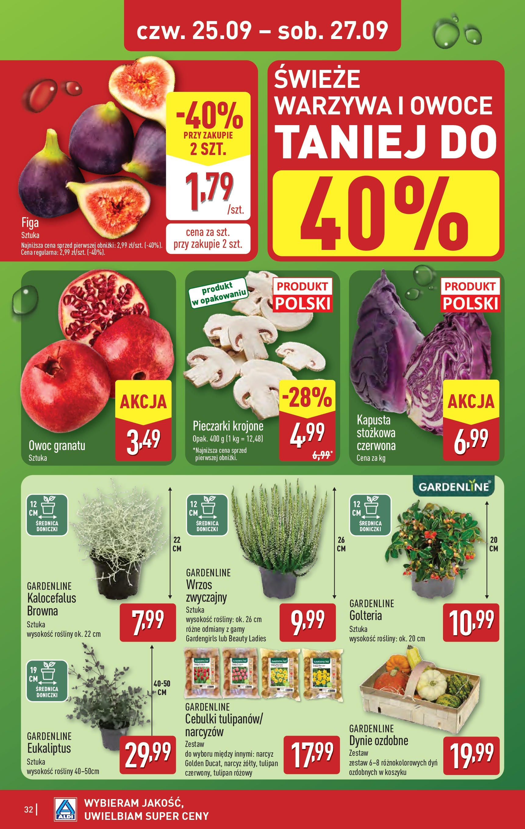 Aldi Gazetka od 22.09.2025 | Nowa PDF gazetka | Strona: 32 | Produkty: Kapusta, Rosliny, Doniczki, Owoce Aldi Gazetka od 22.09.2025 - Ulotka PDF, promocje | Strona: 32 | Produkty: Kapusta, Rosliny, Doniczki, Owoce