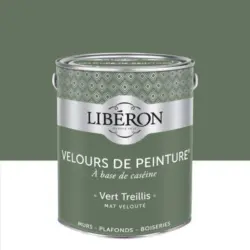 Peinture(d) murs, plafonds et boiseries Velours de peinture vert treillis Lib&eacute;ron 2,5L