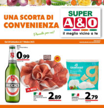 UNA SCORTA DI CONVENIENZA