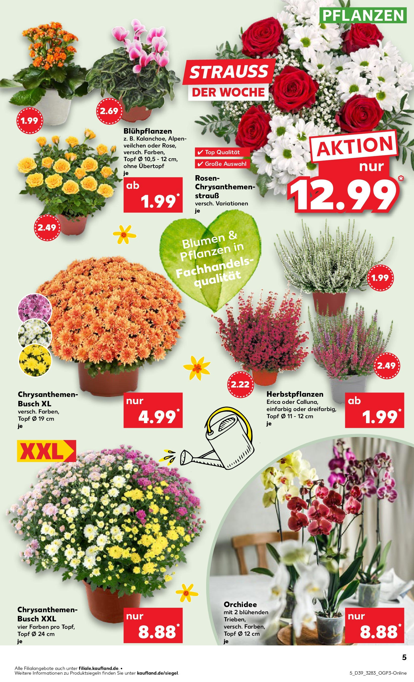 Prospekt Kaufland ab 25.09.2025 » Angebote Online zum Blättern | Seite: 5 | Produkte: Top, Orchidee, Blumen