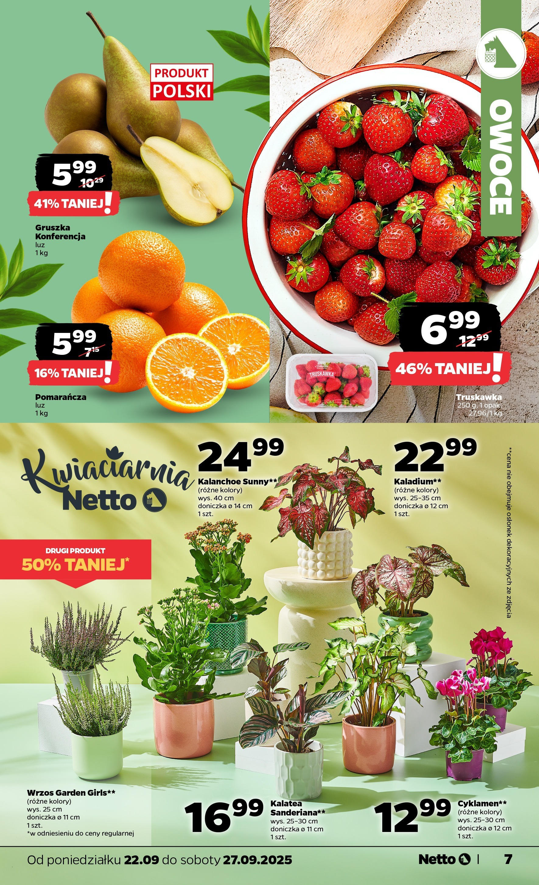 Netto gazetka - Spożywcza od 22.09.2025 - Aktualne promocje | Strona: 7 | Produkty: Kalatea, Doniczka, Kalanchoe, Owoce