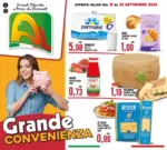 Al Discount Grande convenienza - al 29.09.2025