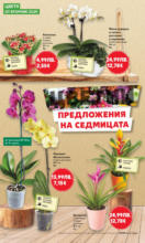 Kaufland хипермаркет Роден вкус за всеки в Kaufland с валидност до 28.09.2025 - до 28-09-25