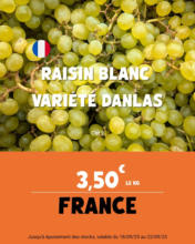 Les GRENADES BIO françaises à 0,95 € la pièce et le lot de 2 à 1,5 € - Occitanie - Petits calibres