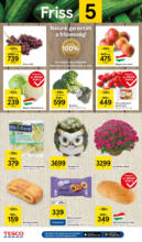 Tesco újság érvényessége 2025.10.01-ig