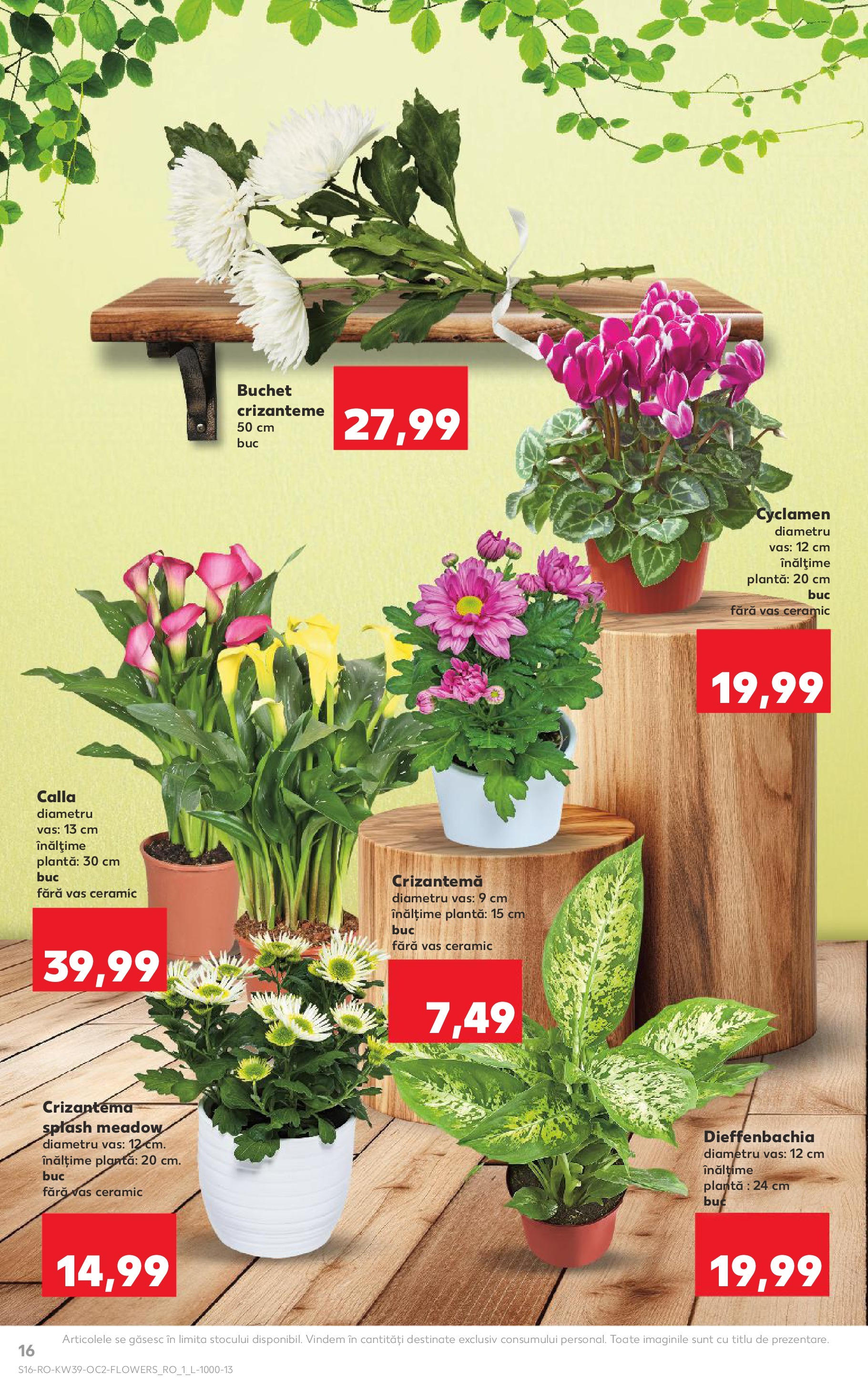 Catalog Kaufland - Bucureşti 24.09.2025 - Revista si Oferta | Pagină: 16