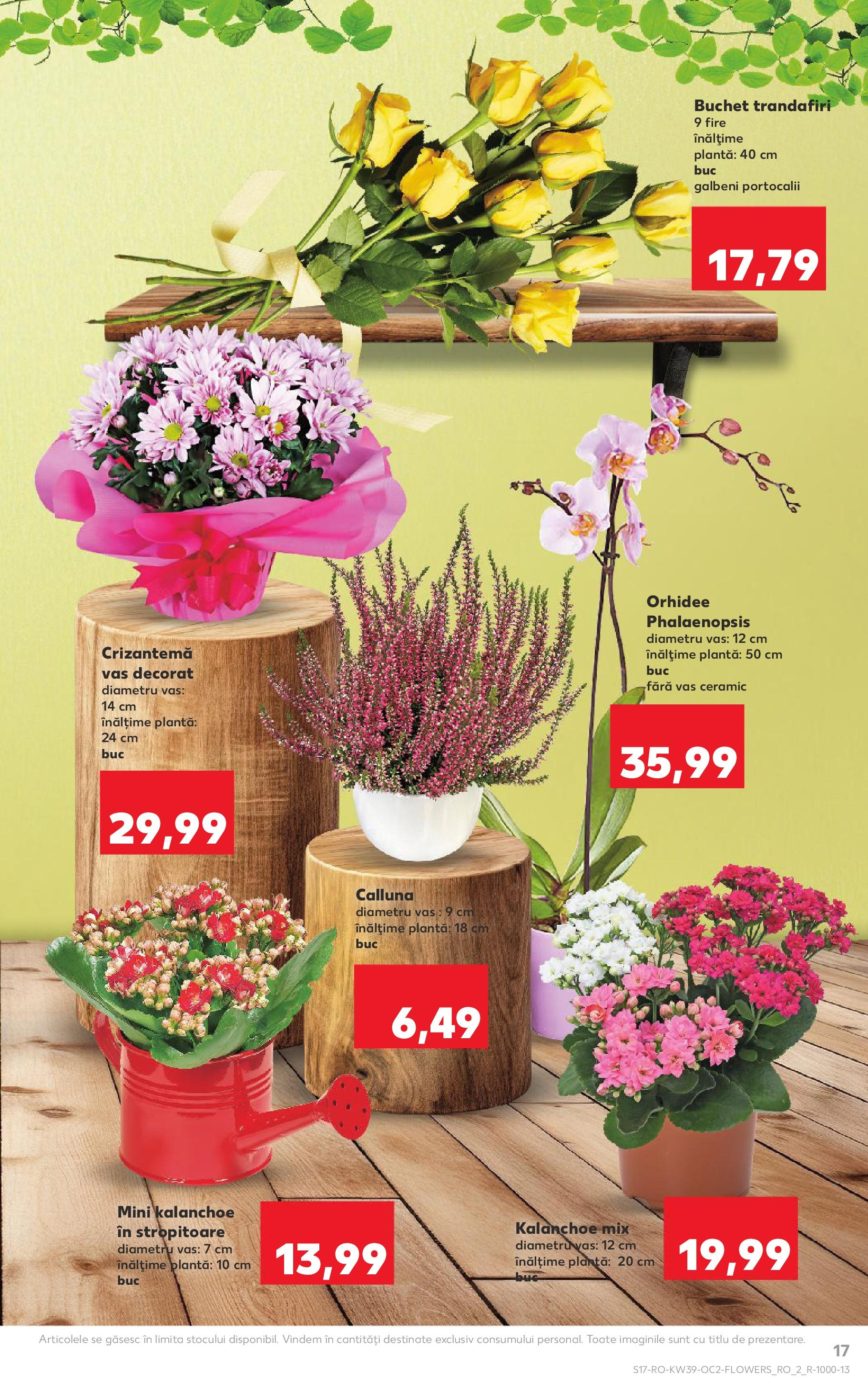 Catalog Kaufland - Bucureşti 24.09.2025 - Revista si Oferta | Pagină: 17 | Produse: Orhidee