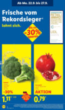 Lidl: Wochenangebote