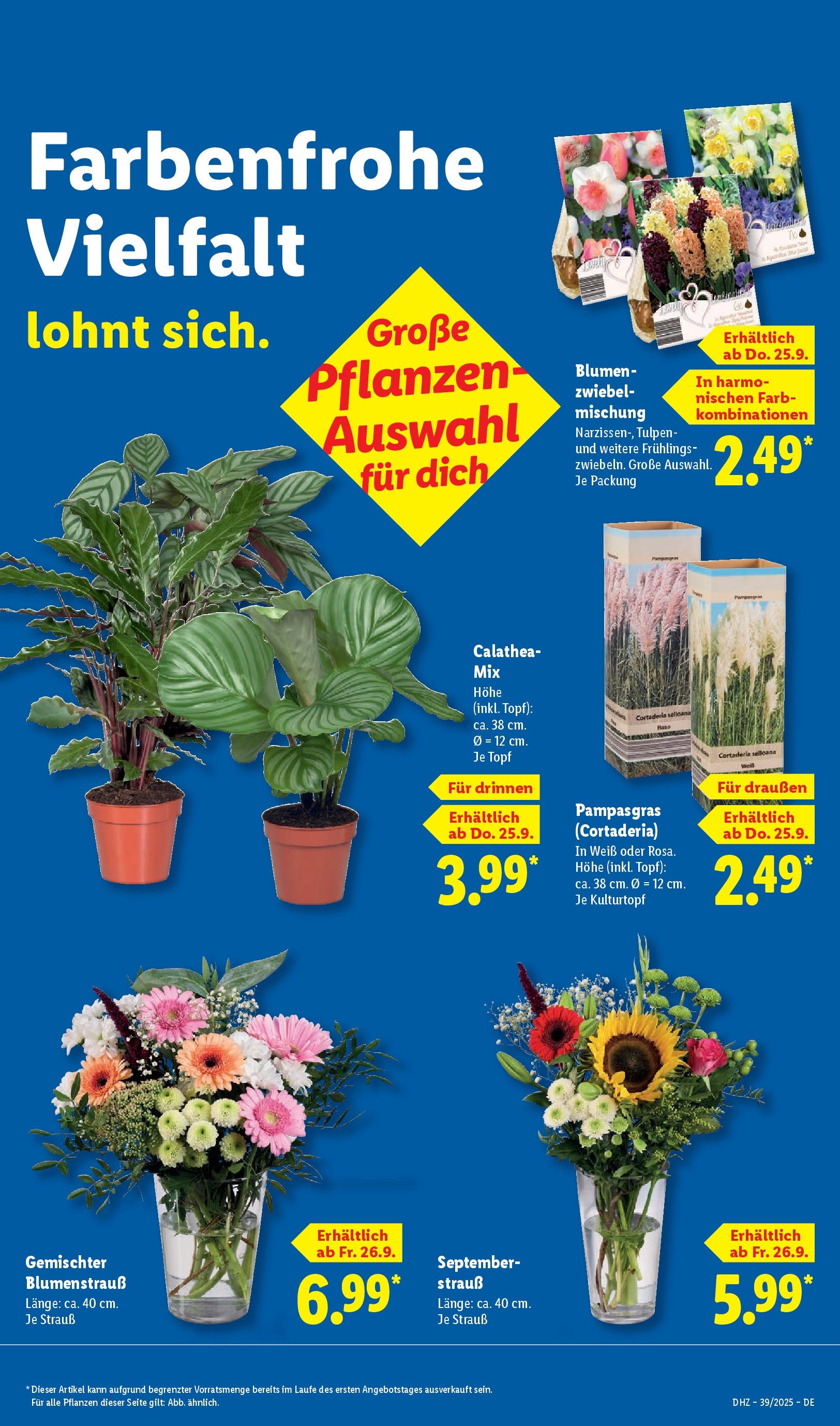 Lidl: Wochenangebote von 21. September bis 27. September 2025 - Prospekt seite 65
