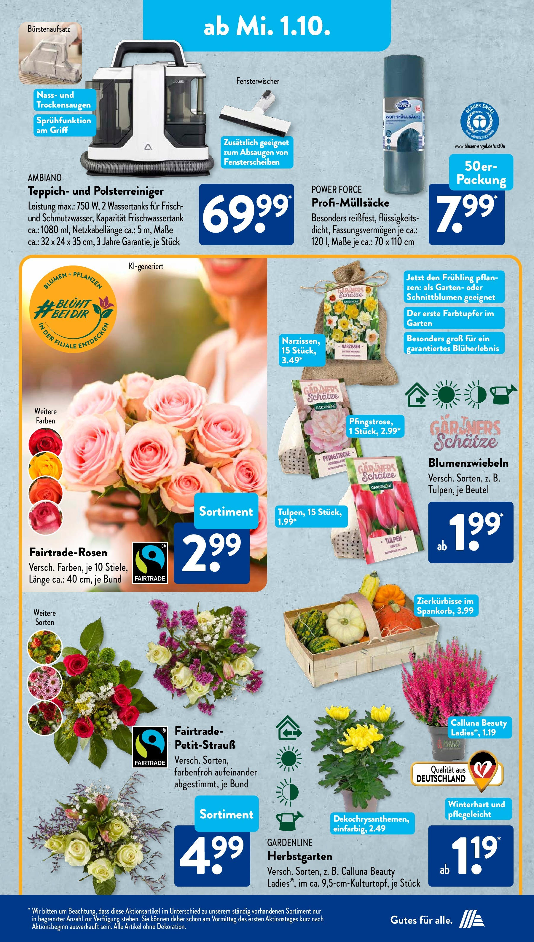 Aldi Süd - Aldi Süd: Wochenangebote (ab 28.09.2025) zum Blättern | Seite: 19 | Produkte: Teppich, Blumen