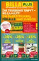 BILLA PLUS: Flugblatt Burgenland