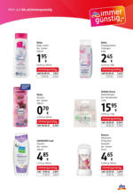 dm drogerie markt dm: Journal Express - bis 29.10.2025