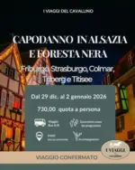I viaggi del cavallino Capodanno in alsazia e foresta nera - al 02.01.2026