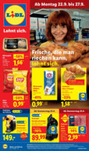 Lidl: Wochenangebote