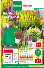 BayWa Bau- & Gartenmärkte BayWa: Wochenangebote - bis 27.09.2025