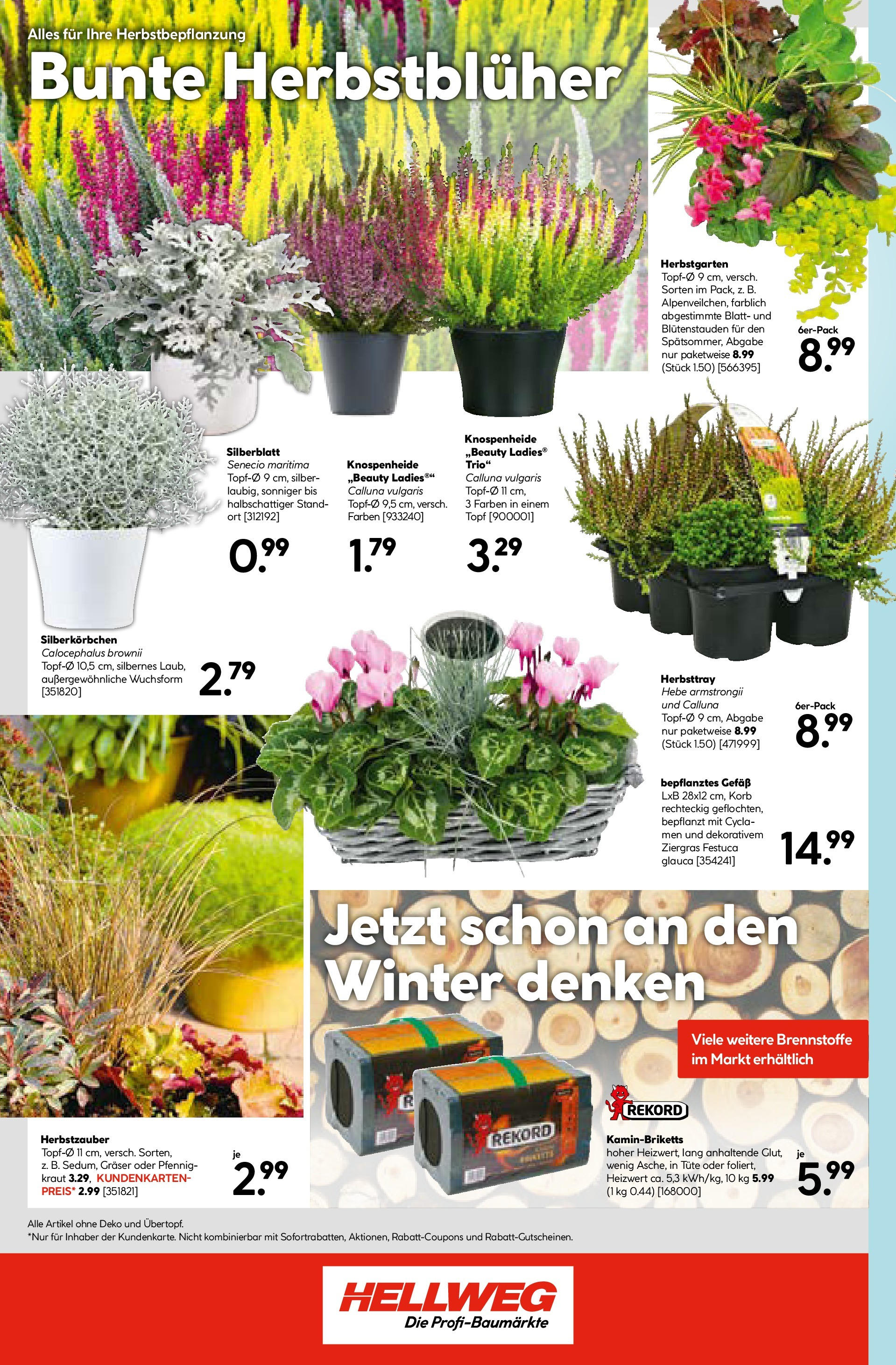HELLWEG Fürstenfeld von 02.10.2025 - Aktuelle Angebote | Seite: 20 | Produkte: Kraut, Korb