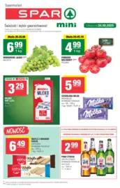 Aktualne oferty i promocje