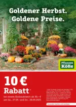 Pflanzen-Kölle Gartencenter Pflanzen Kölle: Goldener Herbst. Goldene Preise. - bis 27.09.2025