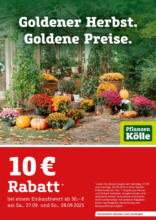 Pflanzen Kölle: Goldener Herbst. Goldene Preise.