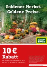 Pflanzen Kölle: Goldener Herbst. Goldene Preise.