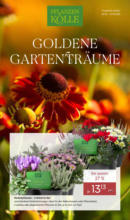 Pflanzen-Kölle: Goldene Gartenträume