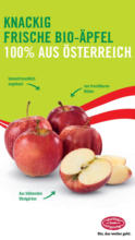 HOFER HOFER: Flugblatt - bis 02.10.2025