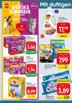 SPAR Supermarkt SPAR: Angebote - bis 08.10.2025