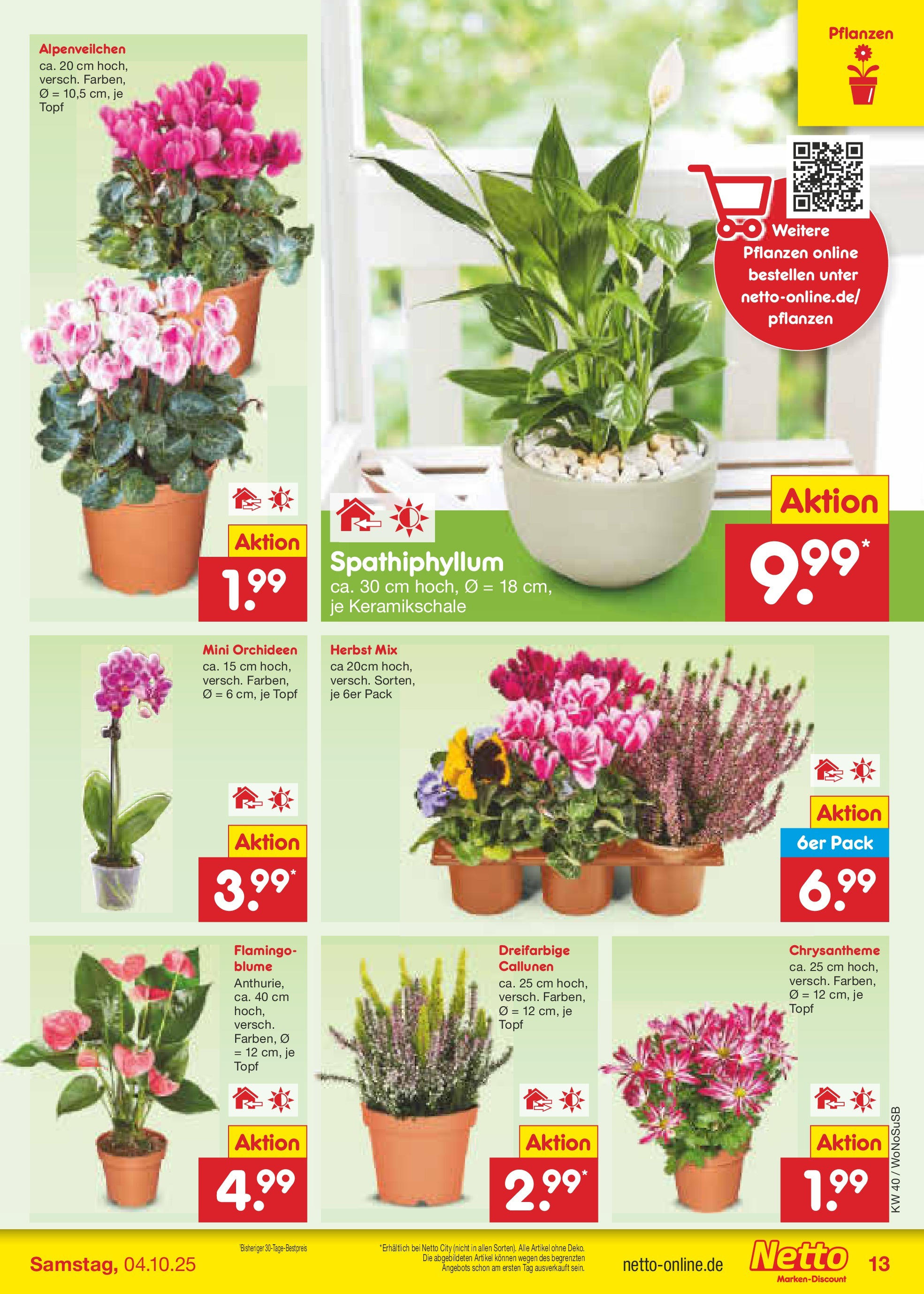 Netto Marken-Discount prospekt Frankfurt Am Main	 (ab 28.09.2025) » Angebote | Seite: 13