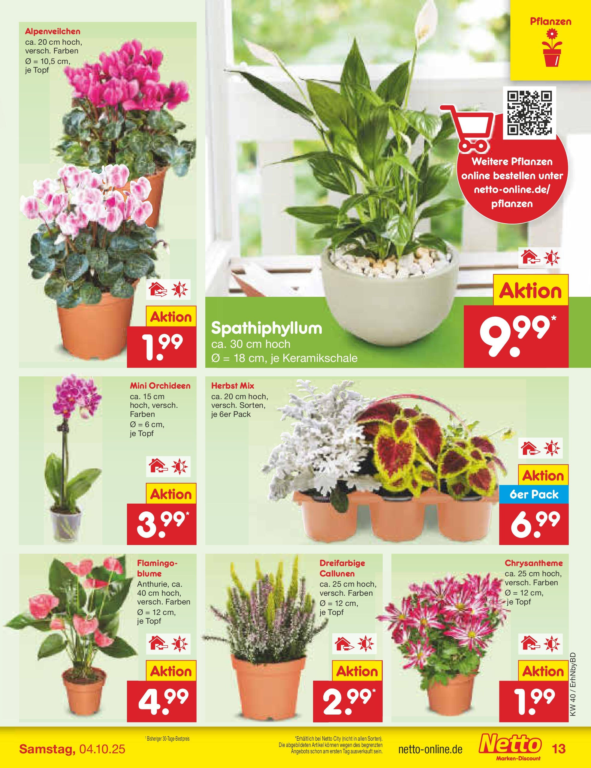 Netto Marken-Discount prospekt Ergolding	 (ab 28.09.2025) » Angebote | Seite: 13