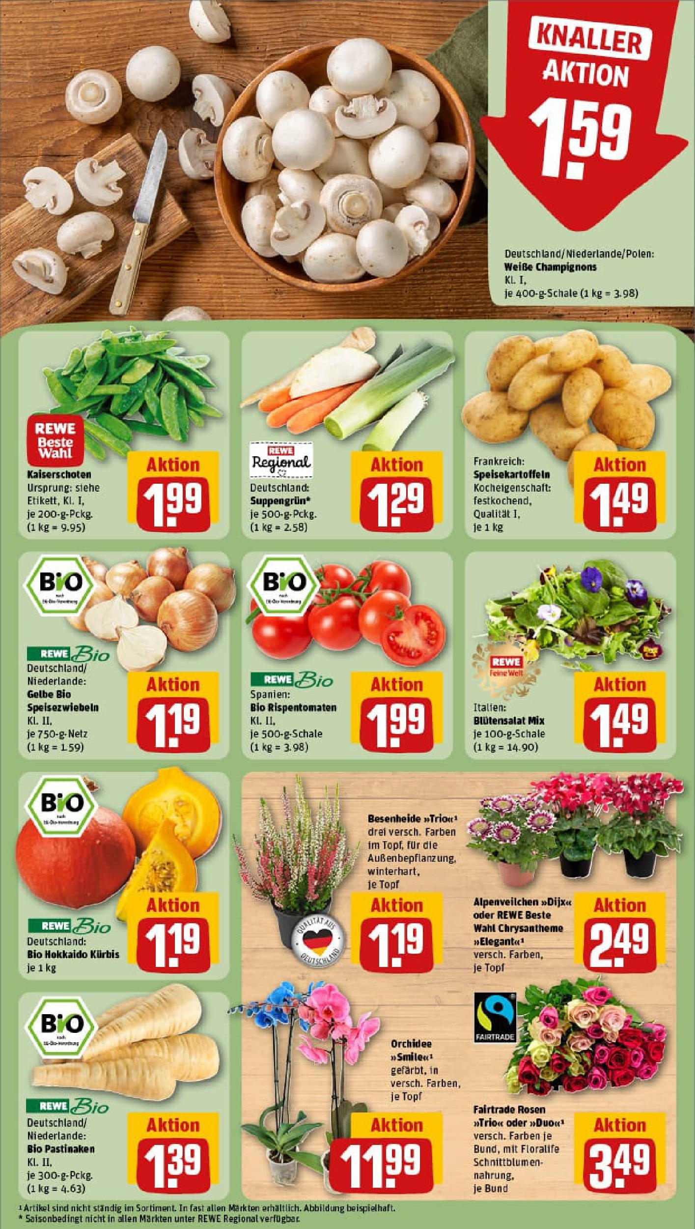 REWE Prospekt ab 28.09.2025 zum Blättern » Angebote | Seite: 11 | Produkte: Orchidee, Champignons, Kürbis
