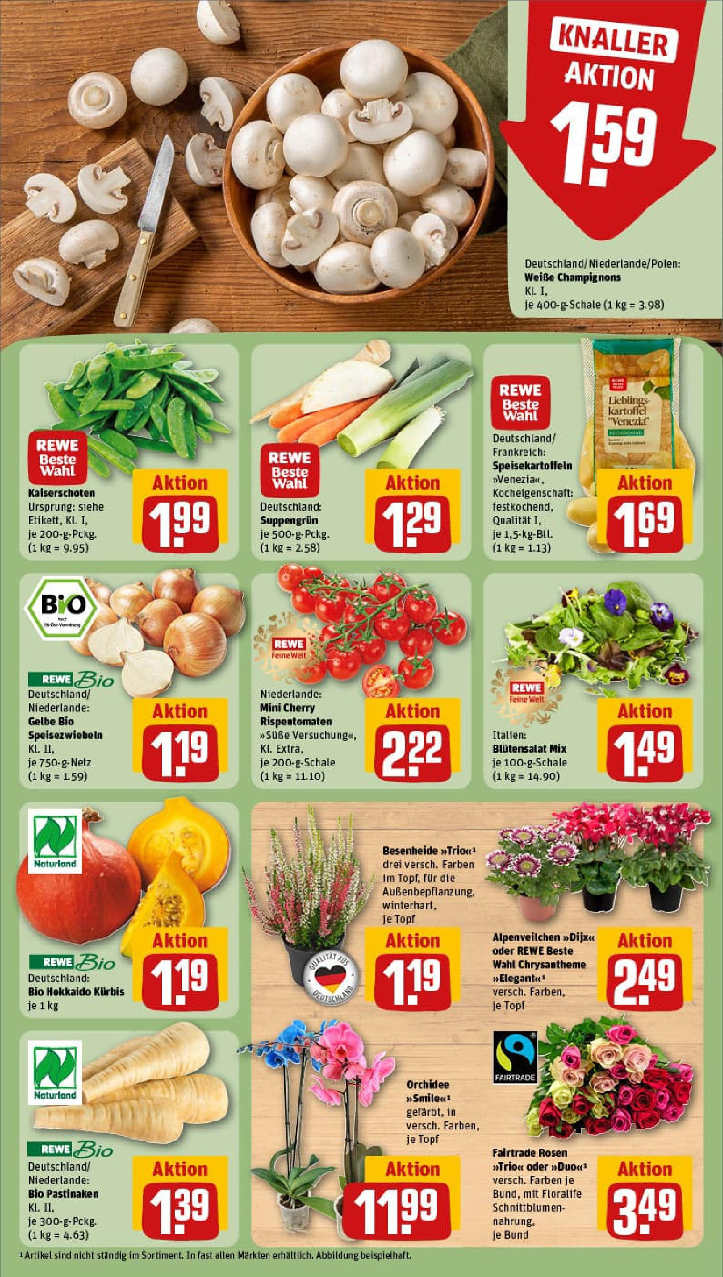 REWE Prospekt ab 28.09.2025 zum Blättern » Angebote | Seite: 11 | Produkte: Orchidee, Champignons, Kürbis