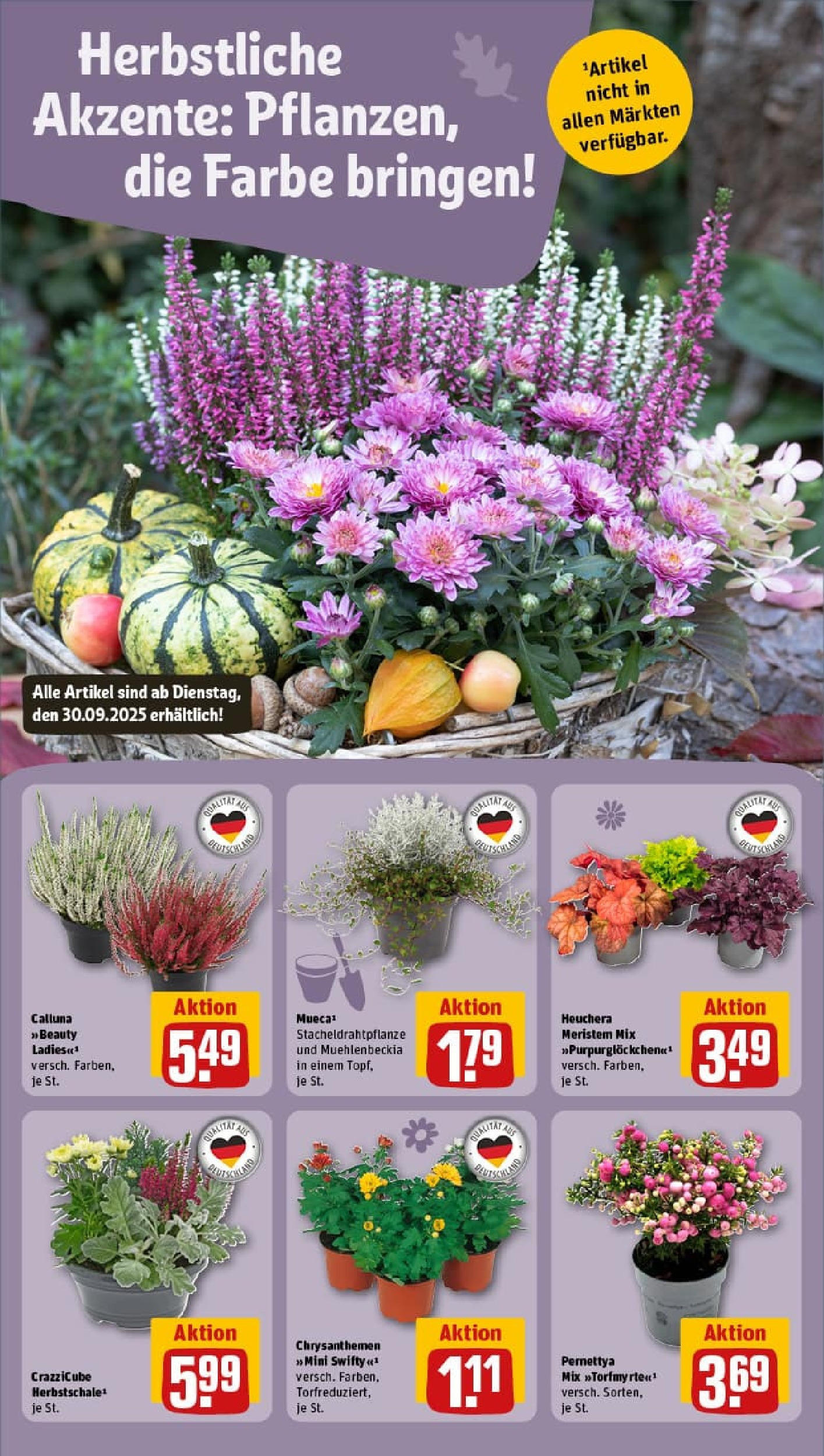 REWE Prospekt ab 28.09.2025 zum Blättern » Angebote | Seite: 14 | Produkte: Rinderfilet, Gulasch, Putenschnitzel, Ente