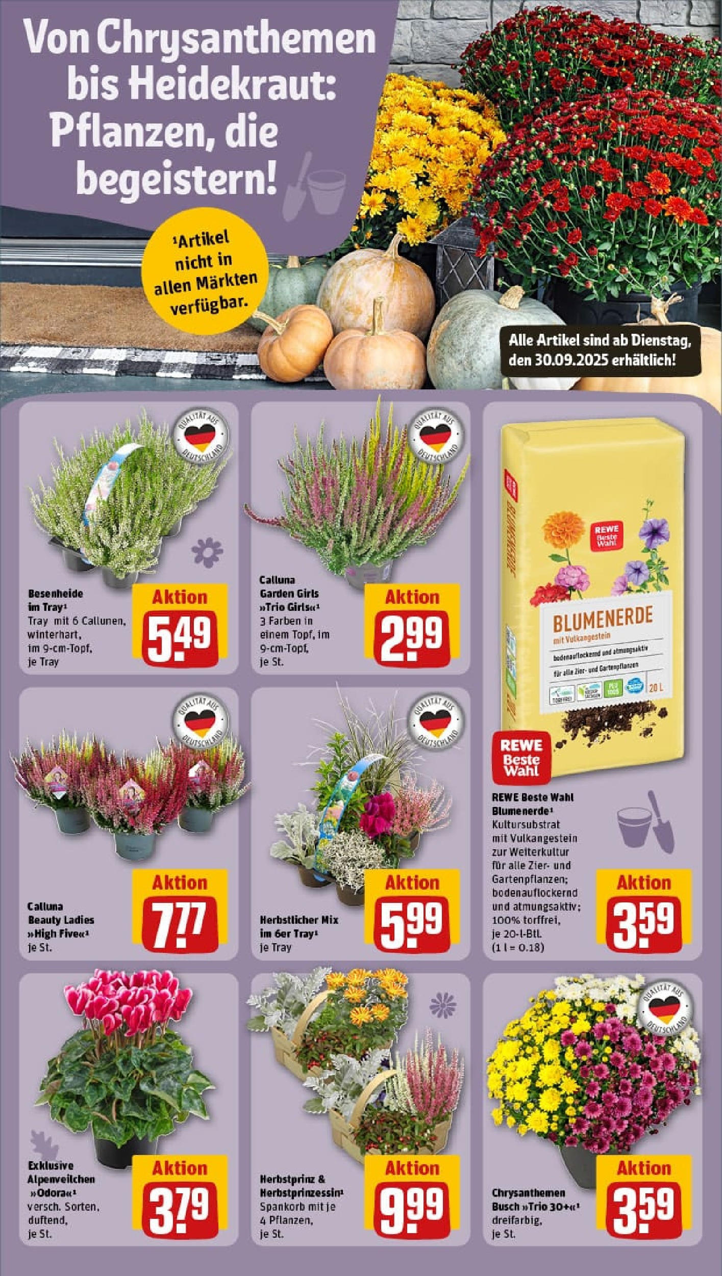 REWE Prospekt ab 28.09.2025 zum Blättern » Angebote | Seite: 15 | Produkte: Käse, Ziegenkäse, Pfeffer, Salami