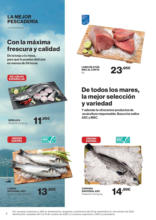 ¿Qué necesitas hoy?