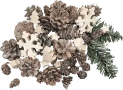 Dekorieren & Einrichten Zapfen & Holzstreu im Netzbeutel