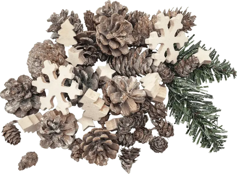 Dekorieren & Einrichten Zapfen & Holzstreu im Netzbeutel