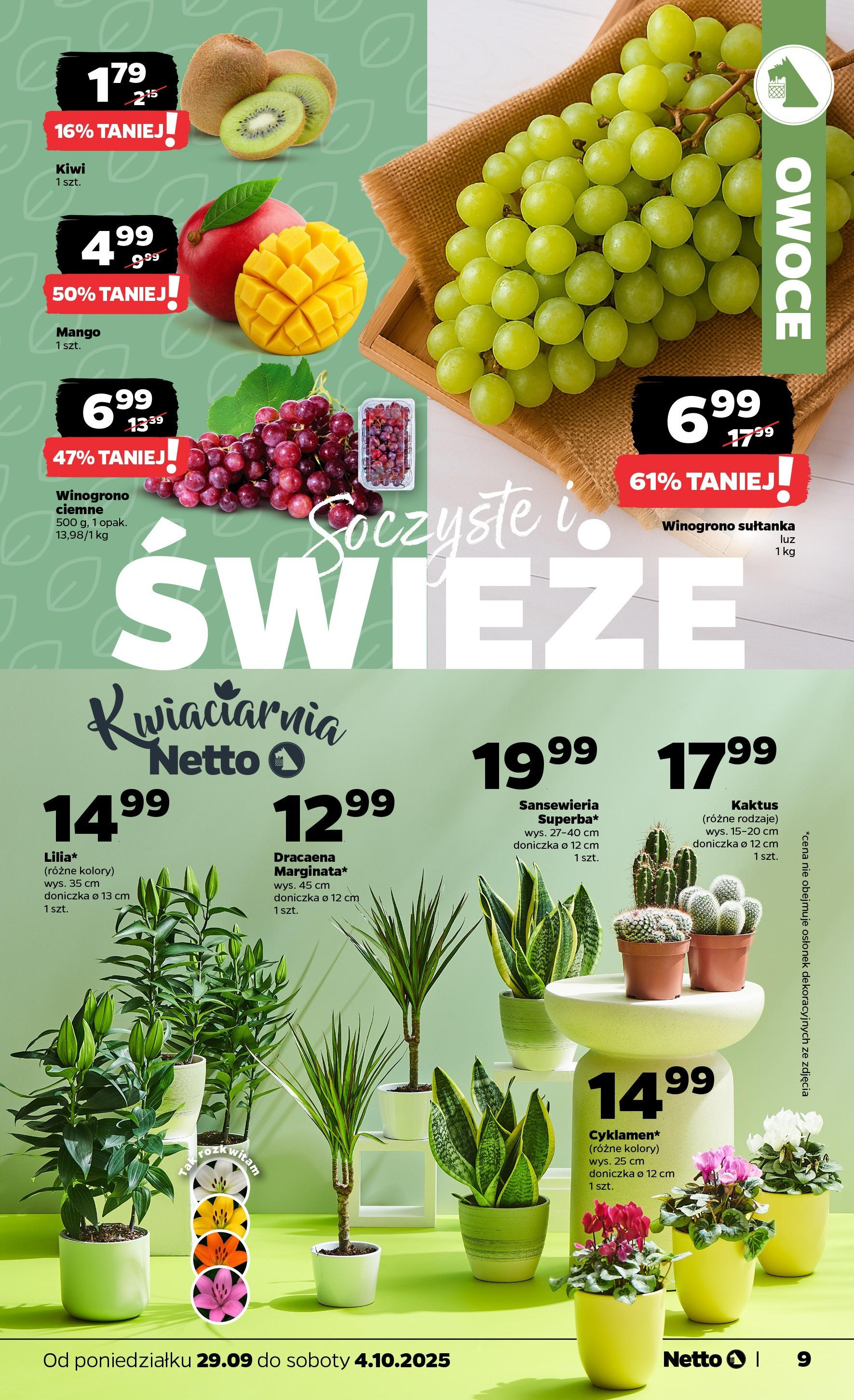 Netto gazetka - Spożywcza od 29.09.2025 - Aktualne promocje | Strona: 9 | Produkty: Mango, Doniczka, Kiwi, Owoce