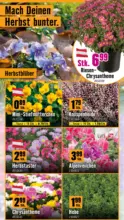 Hornbach: Aus Taten werden Räume.