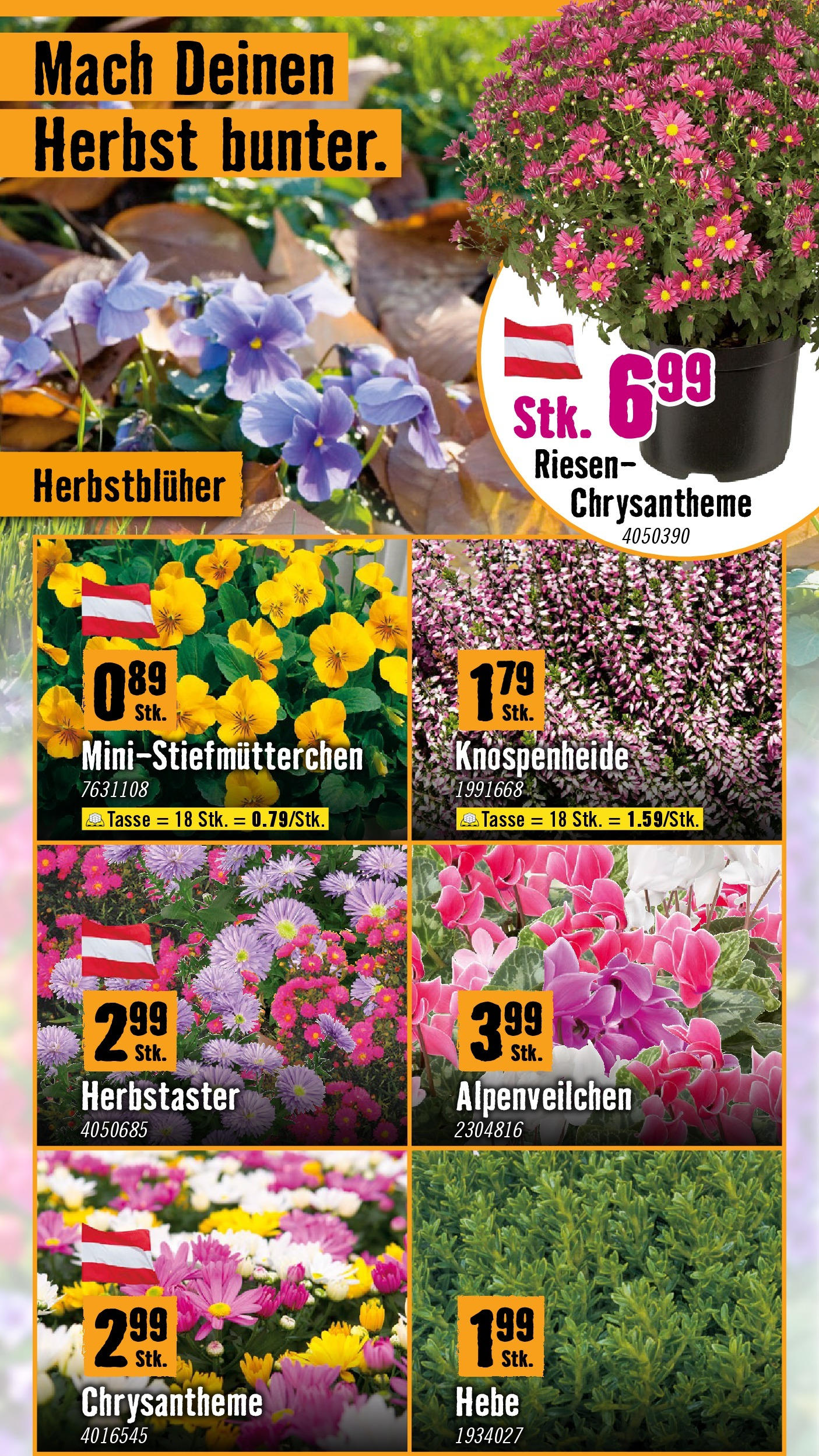 Hornbach Flugblatt von 01.10.2025 - Aktuelle Angebote | Seite: 2