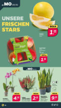 Netto APS : Wochenangebote