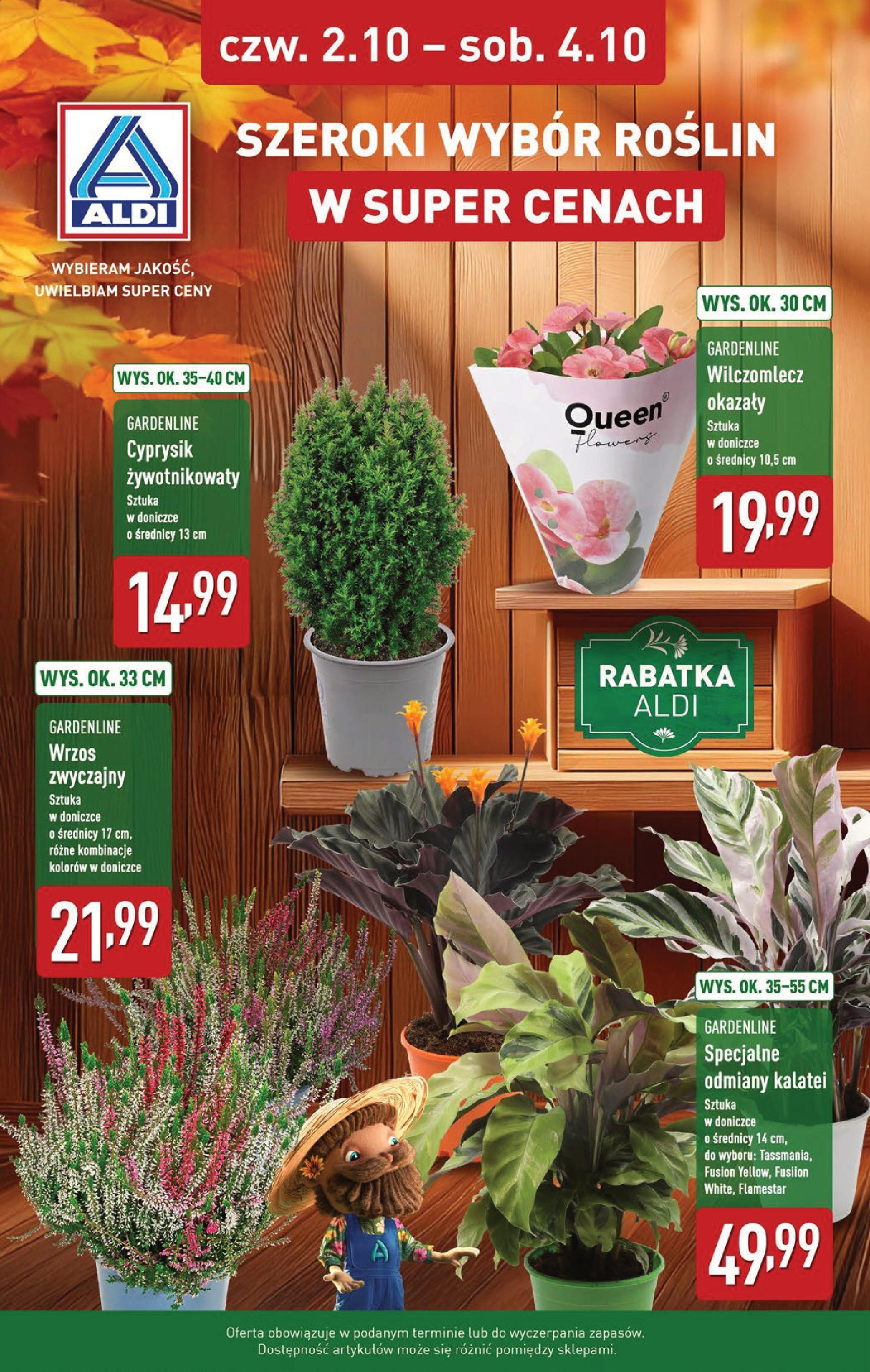 Aldi Gazetka - Okazje na weekend od 02.10.2025 - Ulotka PDF, promocje | Strona: 7 | Produkty: Wrzos