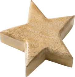 Dekorieren & Einrichten Holzstern, braun (10 cm)
