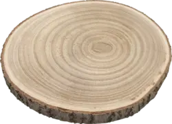 Dekorieren & Einrichten Holzscheibe