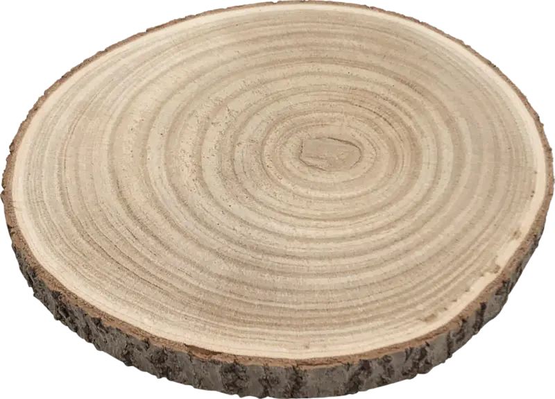 Dekorieren & Einrichten Holzscheibe