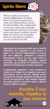 Amo il mio